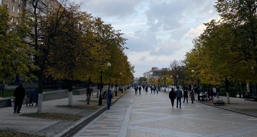 В Пензе мужчину, пытавшегося украсть зарядную станцию из ТЦ, задержали росгвардейцы