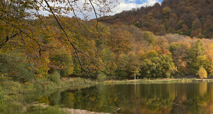 В лесах Пензенской области завершился пожароопасный сезон