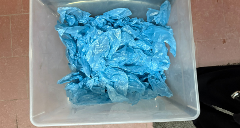 Нестандартное применение медицинских бахил в быту: для животных, уборки, хранения