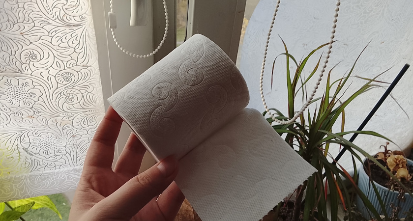 5 лайфхаков с уксусом и туалетной бумагой для безупречной уборки дома