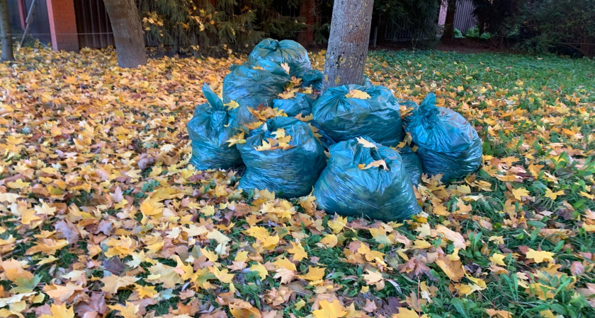 В Пензе с городских кладбищ вывезено более 8200 кубометров мусора