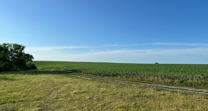 Глава Минсельхоза проверил, как продвигается уборочная кампания в Башмаковском районе
