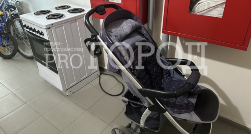 В Пензенской области более 750 отцов оформили пособие по уходу за ребенком в 2025 году