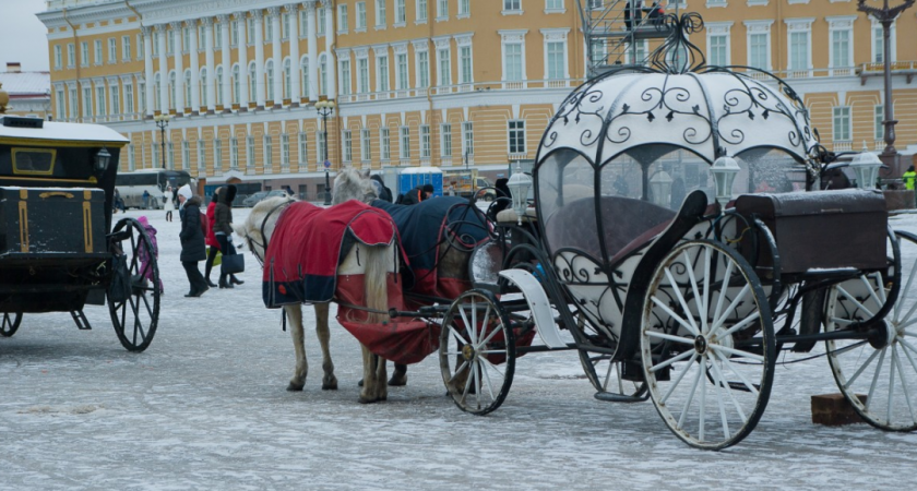 Петербург: город контрастов, к которому нельзя привыкнуть. Личный опыт 