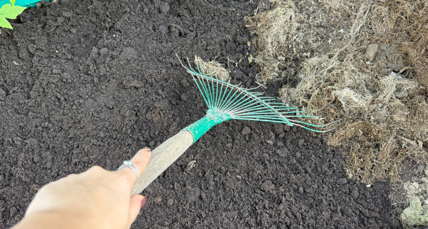 Как улучшить почву без навоза? Использование ЭМ-препаратов для чернозема 