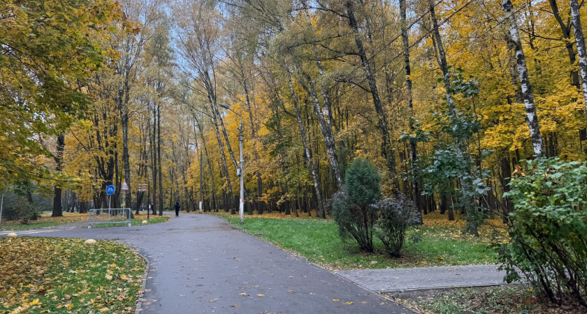 В мкр. Заре сотрудники МБУ «Пензавтодор» высадили каштаны, клены и рябины