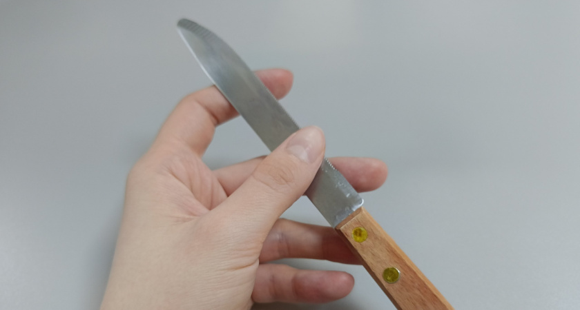 Жительница Каменского района, убившая мужа во время ссоры, попыталась избавиться от улик