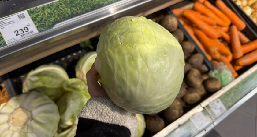 Хранение капусты в пленке: почему метод работает, когда другие способы подводят