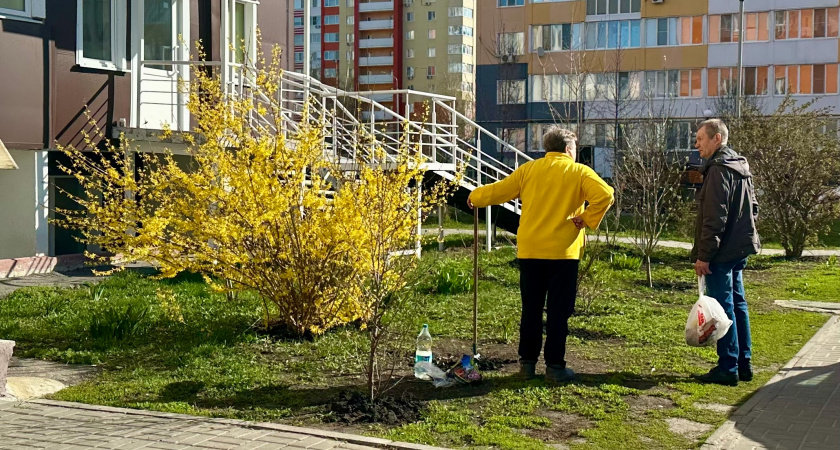 Поэзия Андрея Дементьева. Анализ стихотворения «Как важно вовремя успеть»