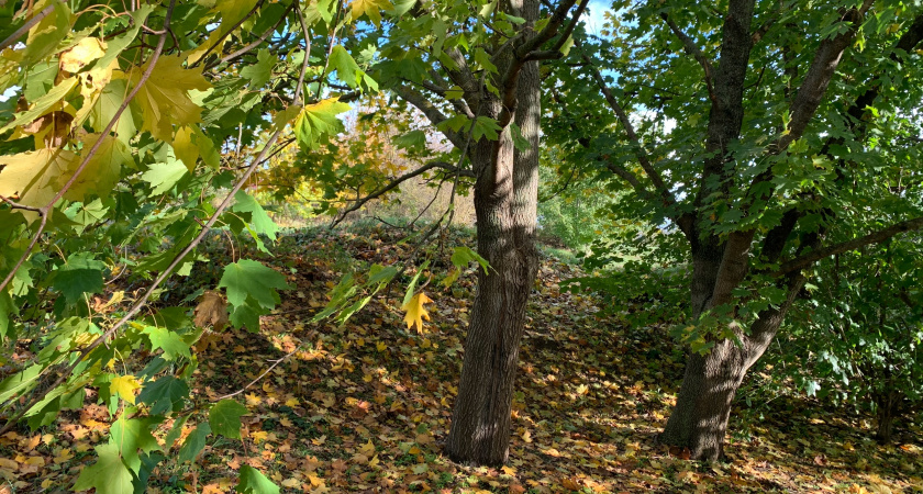 Кузнечанина привлекли к ответственности за сброс отходов