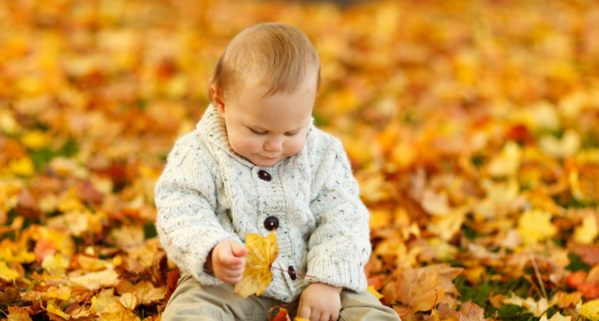 Значение имени Дамир: происхождение, характер и судьба