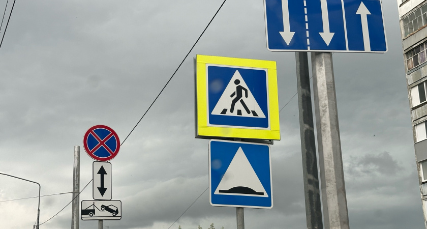 В Пензе по вине вандалов был сломан новый дорожный знак