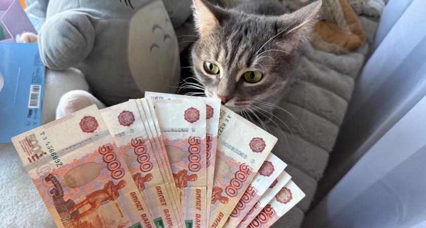 В Пензенской области 204 семьи получили остаток материнского капитала в виде выплаты