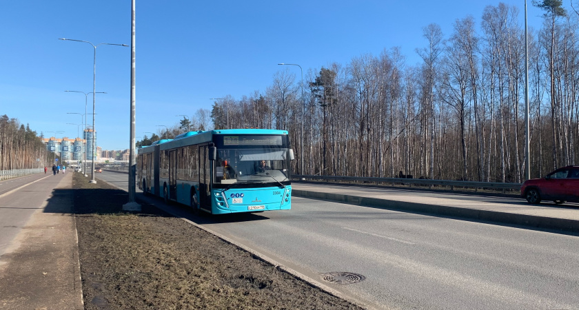 Жители Вадинского района пожаловались на отсутствие автобусов