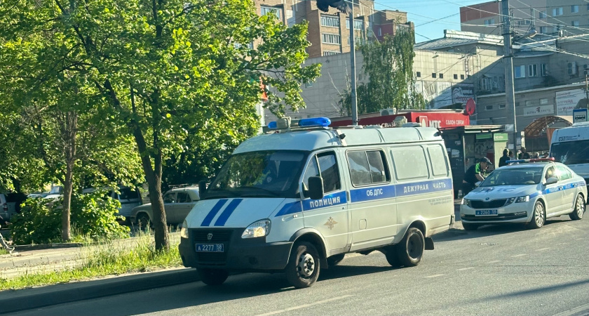 Житель Каменки соорудил «тайник» для наркотиков в обоях