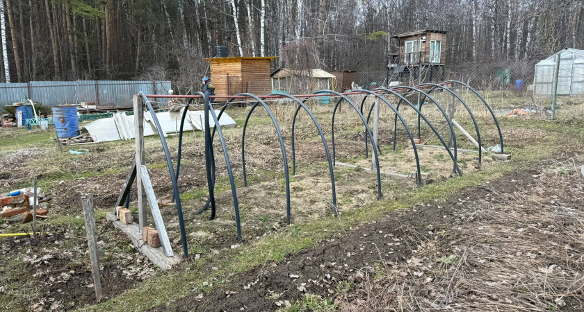 Уход за малиной осенью: влагозарядный полив и мульчирование. Секреты богатого урожая