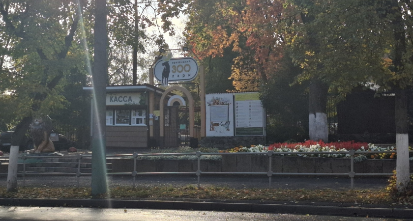 ЦУР Пензенской области взял под свою опеку двух полярных сов в зоопарке