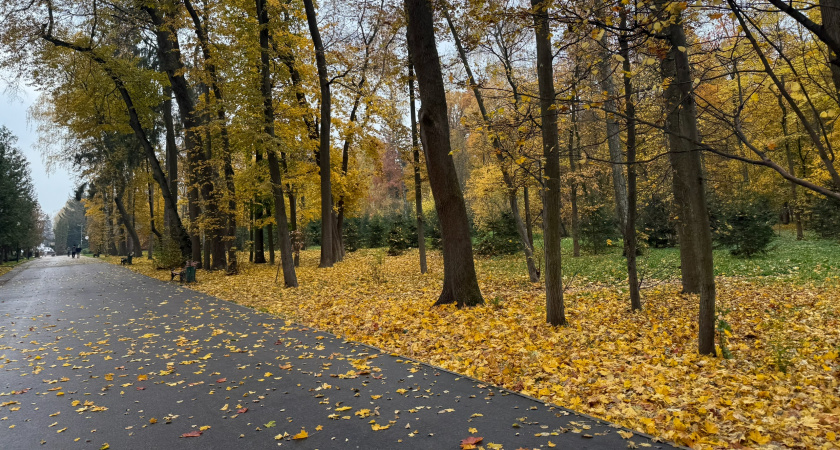 Зареченцев приглашают посетить торжественное открытие обновленного сквера Демакова