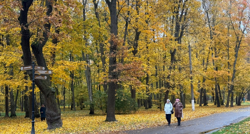 В парке «Комсомольский» обещают доделать освещение