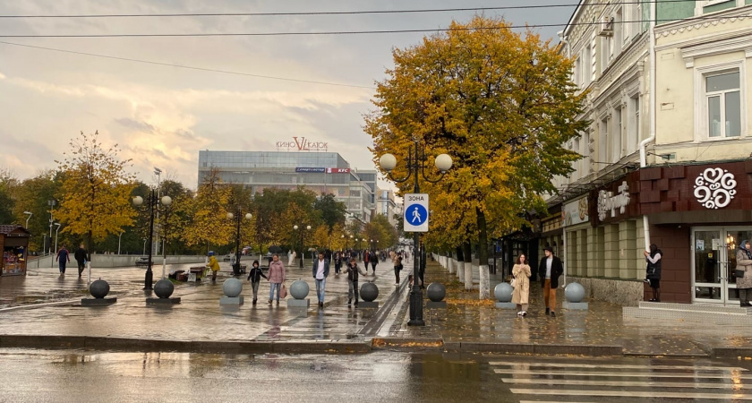 Пензенцу грозит тюрьма за незаконное получение сведений, составляющих налоговую тайну