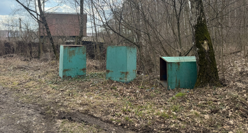 В Бессоновском районе собственник участка земли ликвидировал крупную свалку