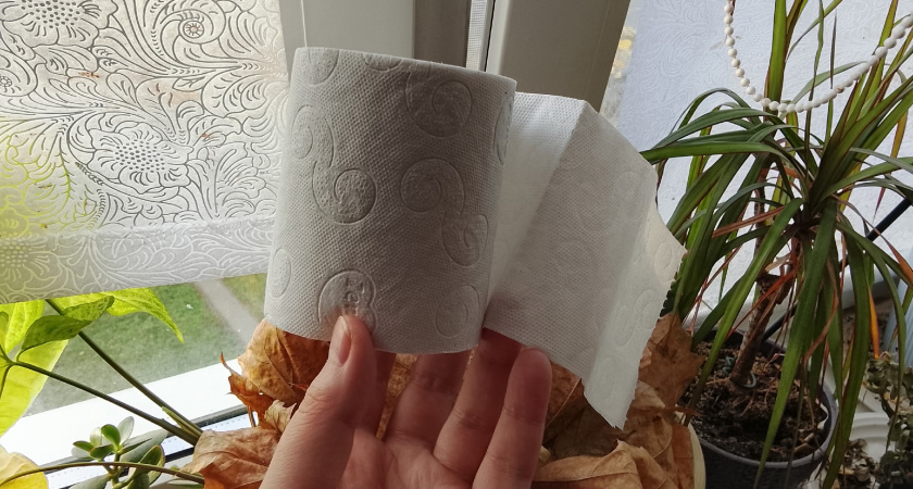 Утепление окон туалетной бумагой и ПВА: дешевый способ от сквозняков