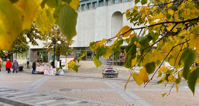 Губернатор обсудил с главой Заречного дальнейшее развитие города