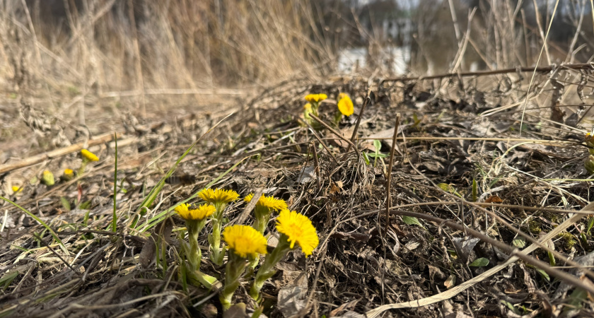 В Колышлейском районе инженера привлекли к ответственности за незаконное недропользование