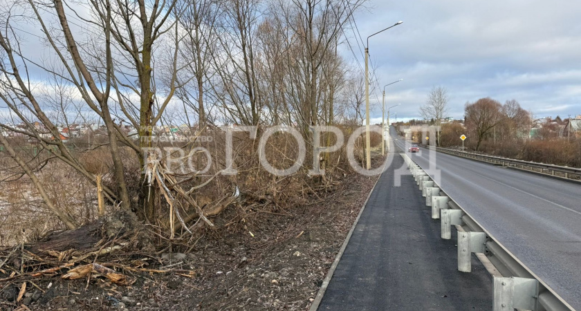 «Куда делись наши защитники природы?!»: ремонт новой дороги в микрорайоне Заря изуродовал деревья