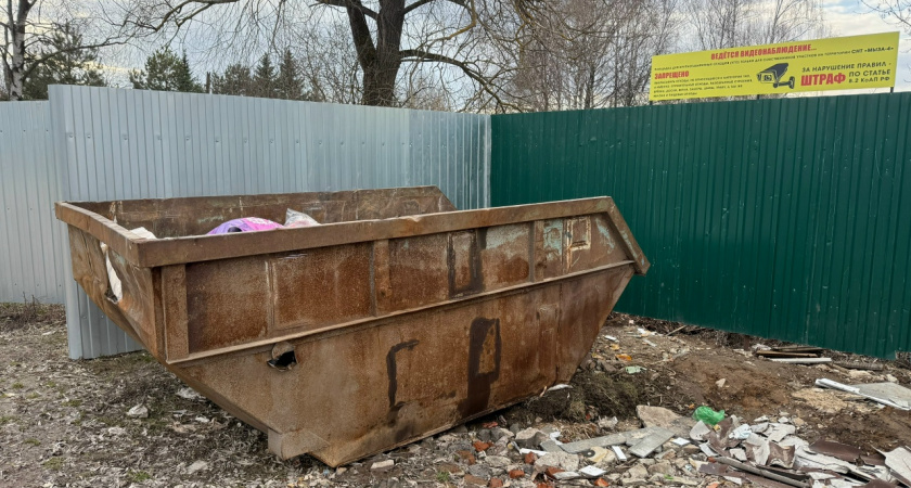 В Нижнем Ломове пообещали убрать незаконную свалку