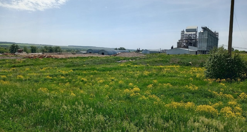 В Тамалинском районе стартовали археологические полевые работы