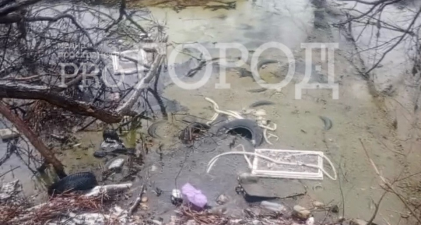 Пензенец обнаружил две гигантские свалки шин. Их там сотни!