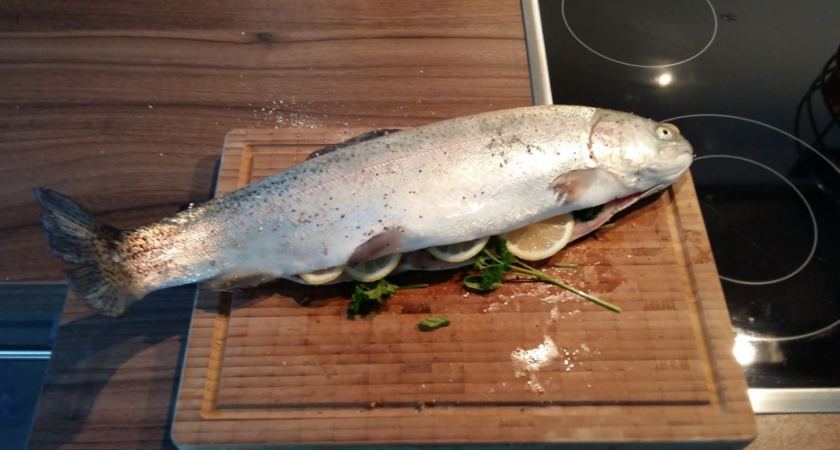 Солим икру из форели с Светофора. Выгодно или нет? Обзор без прикрас