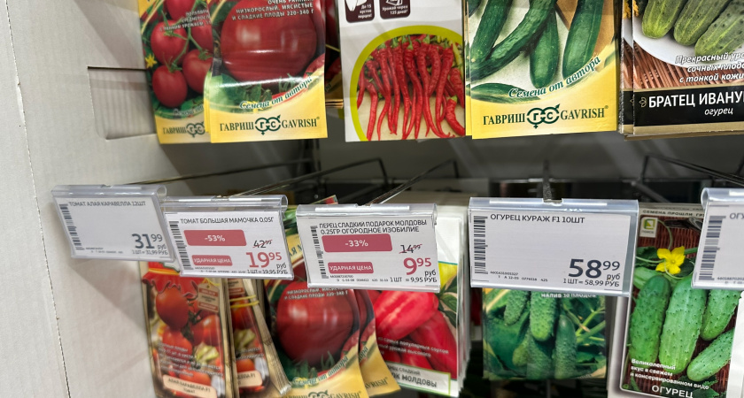 В новом сезоне буду покупать только российские сорта томатов: вот 3 причины и неприятная правда от зарубежных производителей