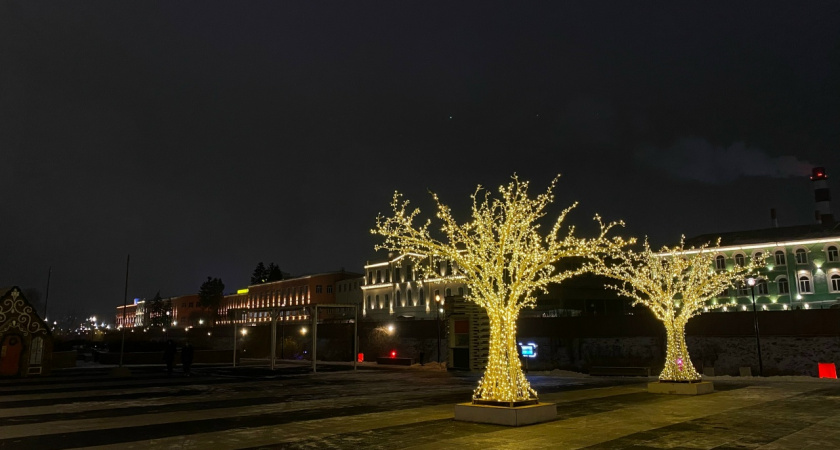 Власти рассказали, загорится ли к Новому году светофорное дерево