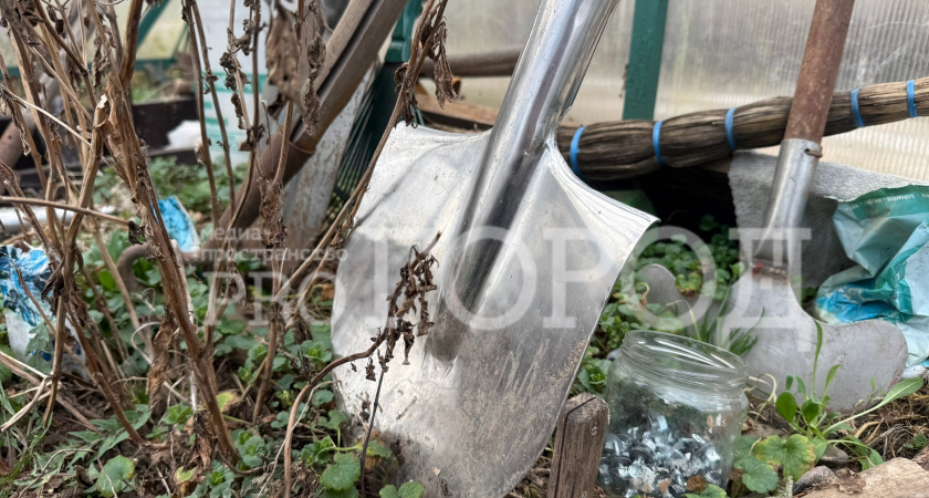 Житель Сердобска избил супругу лопатой за обвинение в измене