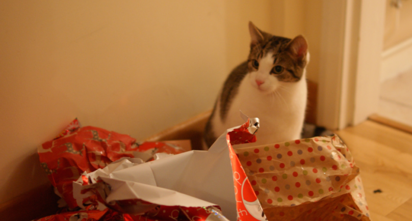 Подарки на Новый год, после которых я бы перестала общаться с человеком: всего одна мелочь - и сразу все стало на свои места