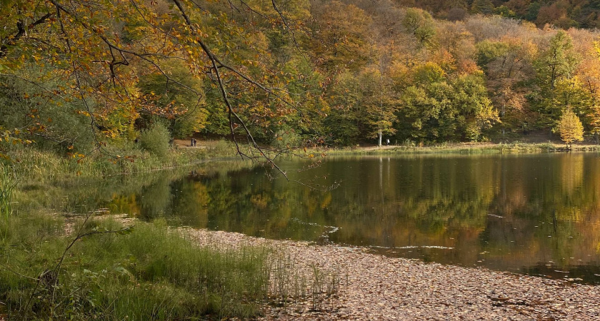 Жителя г. Пензы привлекли к ответственности за сброс отходов