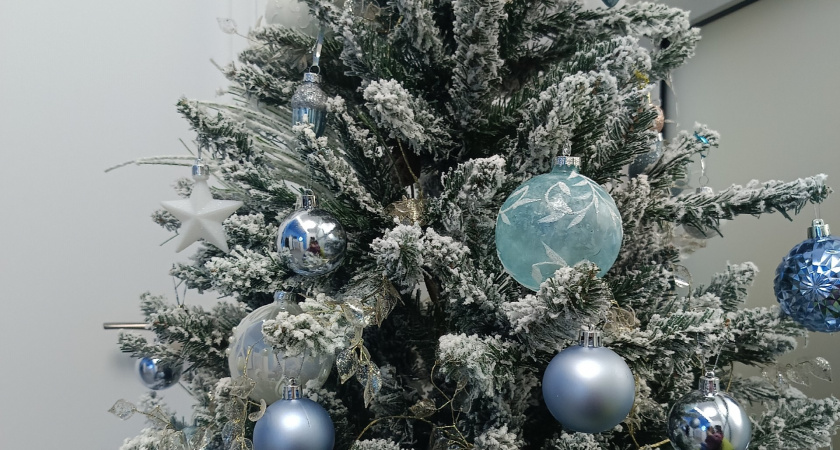 Администрация г. Кузнецка проведет открытый аукцион на размещение елочных базаров