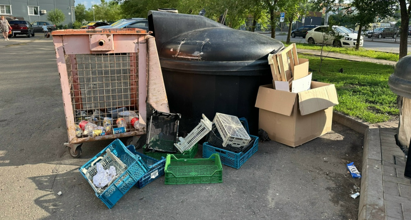 В Сердобске обещают убрать огромную свалку мусора