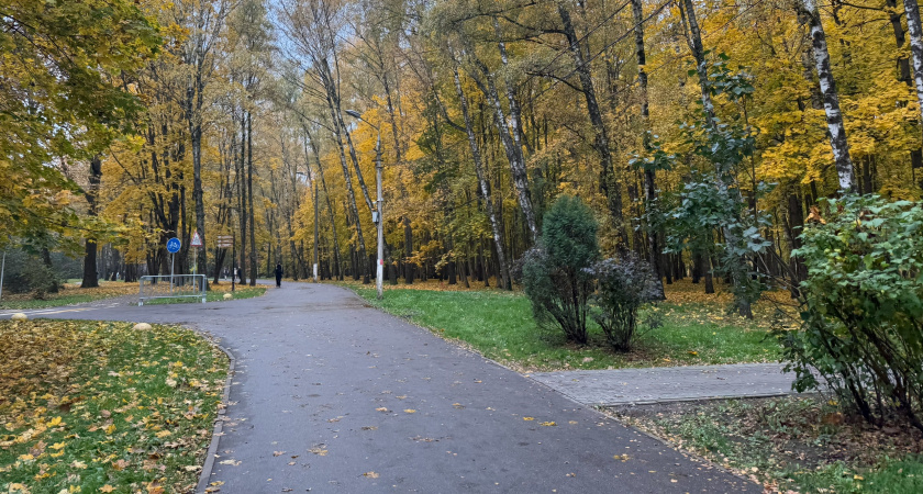 В зареченском сквере им. Демакова завершилась реализация проекта Каждый атом важен