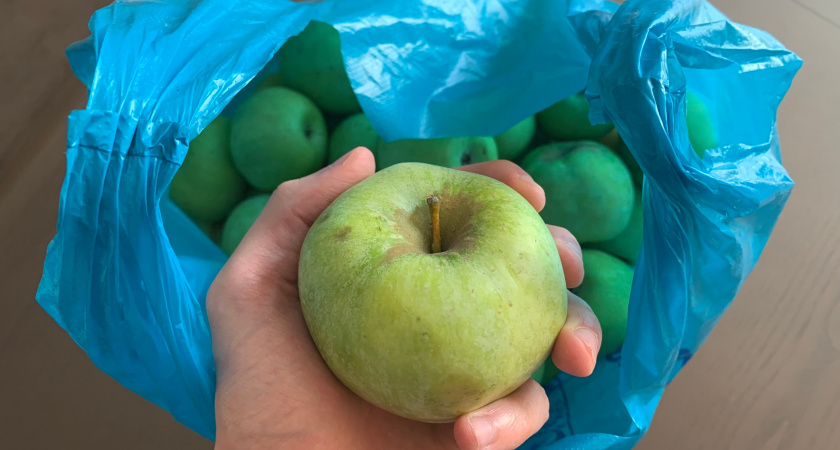 Всю жизнь едим яблоки неправильно и теряем половину пользы - и дело вовсе не в кожуре: ее то есть не обязательно