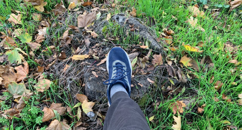 Жильцов дома на Крупской и Шмидта оставили без деревьев