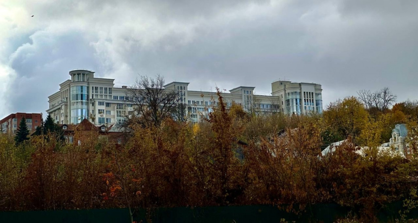 В Пензе введен фитосанитарный режим из-за ясеневой златки