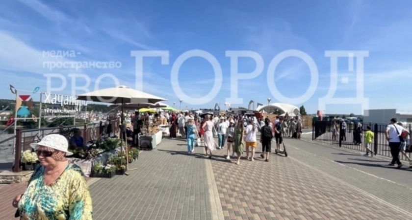 По каким причинам в Пензенской области умирают люди: 3 главных фактора