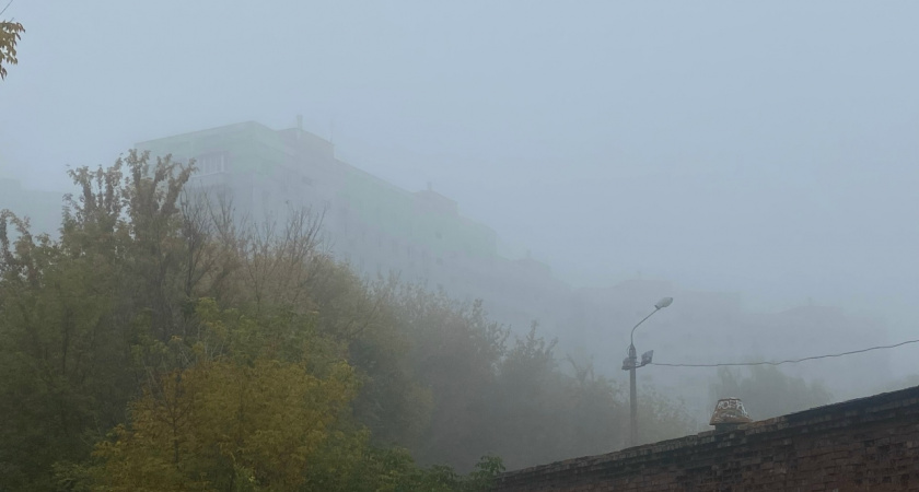 Жителей Пензенской области предупреждают о тумане