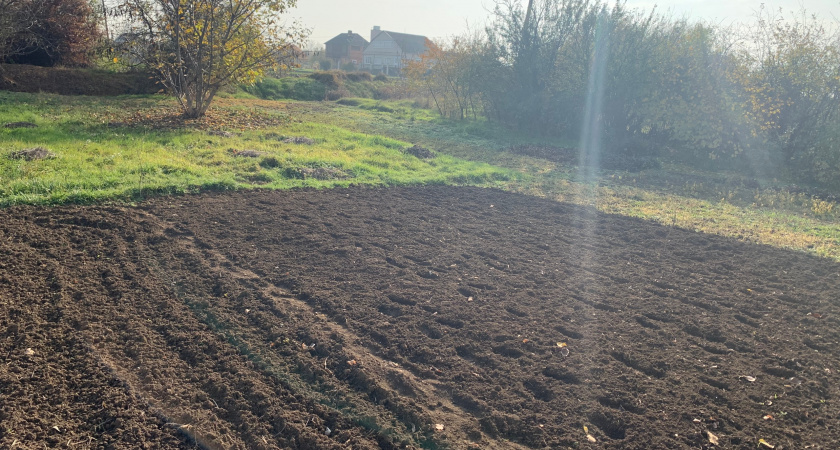 У меня совсем нет сорняков на участке: как - без всяких чудес. Просто перекапываю дачу хитрым способом  