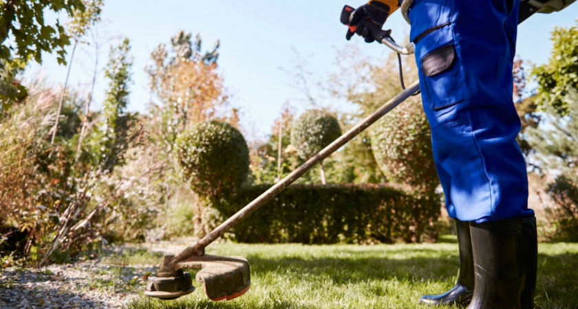 Только в России еще косят траву триммером с леской, а Европа перешла на другие технологии - проще и дешевле