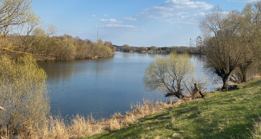В Пензе мужчина, решивший оставить себе найденные у реки патроны, может сесть в тюрьму