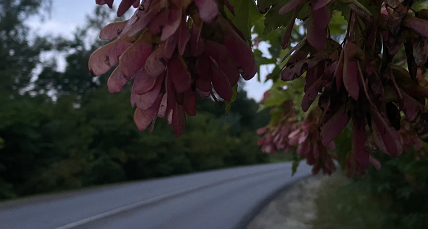 Пензенцев приглашают стать участниками всероссийского фотоконкурса
